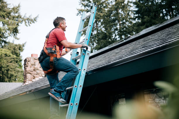 Best Skylights  in Vail, AZ